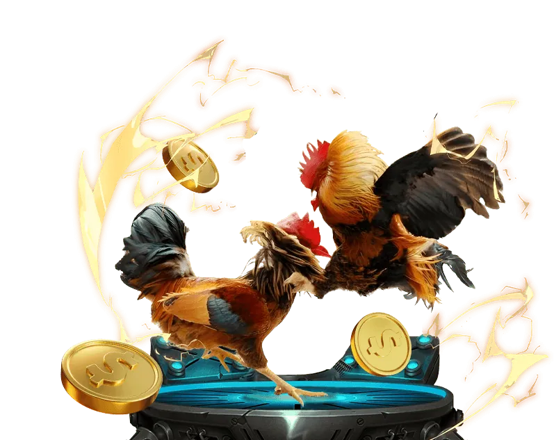 Đa dạng giải đấu và môn thể thao trên Bongdalu 1